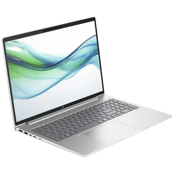 Ноутбук HP ProBook 460 G11 (A1LD6UT)