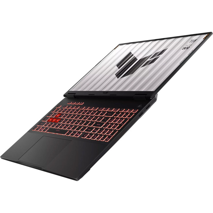 Ноутбук ASUS TUF Gaming A16 FA608UM Black (FA608UM-NS73) (CUSTOM: 32GB RAM; 1TB SSD)