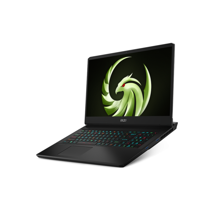 Ноутбук MSI Alpha 17 C7VG (C7VG-008US)