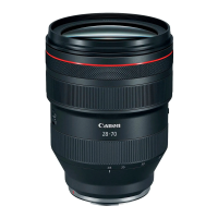 Универсальный объектив Canon RF 28-70mm f/2,0L USM (2965C005)