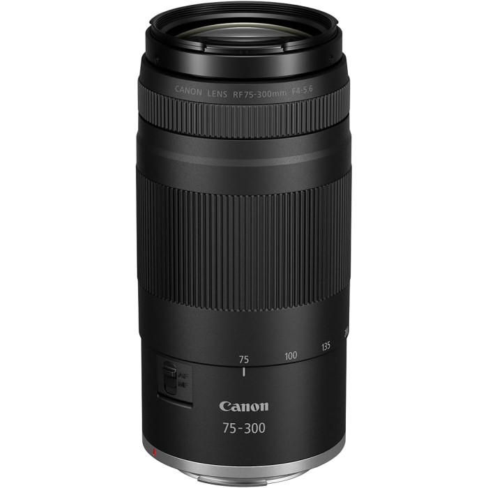 Объектив Canon RF 75–300 мм f/4–5,6 (7155C005)
