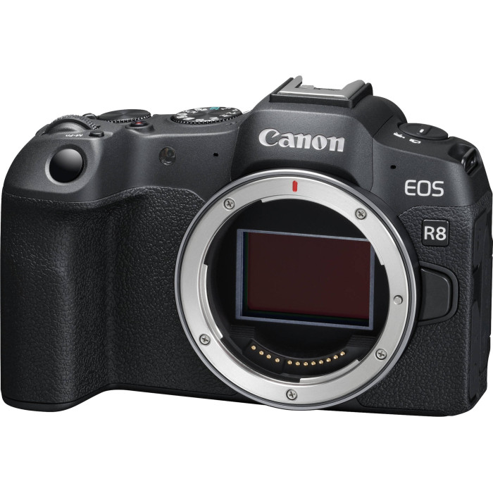 Бездзеркальний фотоапарат Canon EOS R8 kit RF 24-50mm IS STM (5803C016)