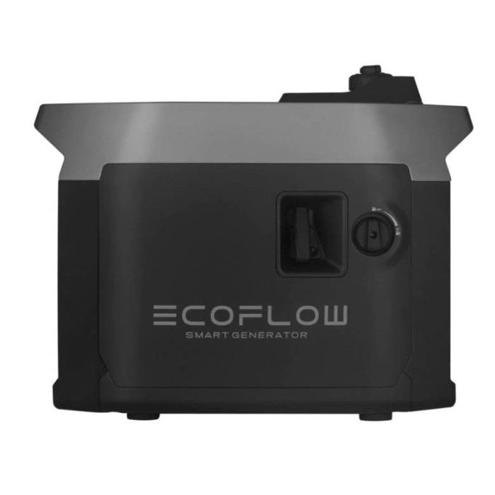 Інверторний бензиновий генератор EcoFlow Smart Generator (GasEB-EU)