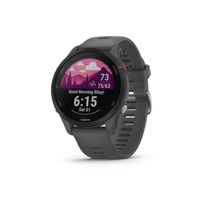 Смарт-годинник Garmin Forerunner 255 Slate Gray (010-02641-00/10/43)