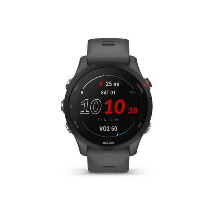 Смарт-годинник Garmin Forerunner 255 Slate Gray (010-02641-00/10/43)