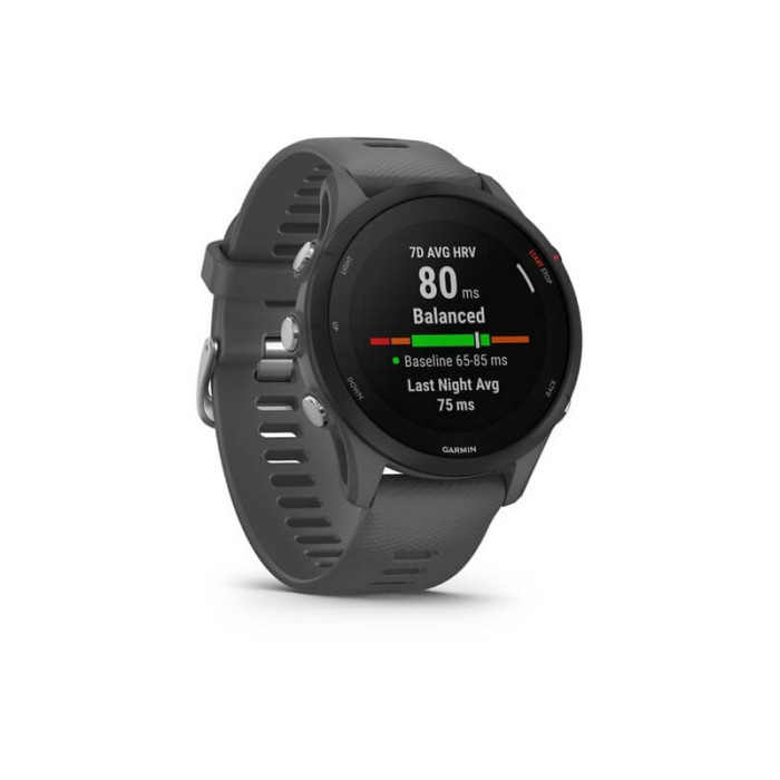 Смарт-годинник Garmin Forerunner 255 Slate Gray (010-02641-00/10/43)