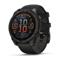 Garmin Fenix 8 47mm AMOLED Sapphire Carbon Gray DLC Titanium w. Black/Pebble Gray S. Band (010-02904-20/21)