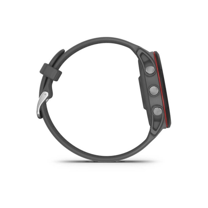 Смарт-годинник Garmin Forerunner 255 Slate Gray (010-02641-00/10/43)