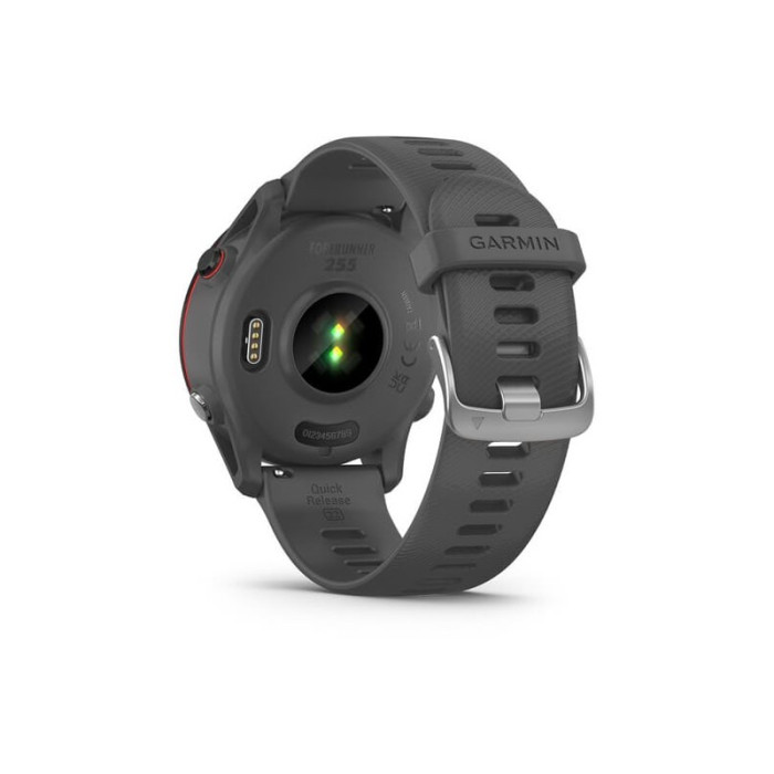 Смарт-годинник Garmin Forerunner 255 Slate Gray (010-02641-00/10/43)
