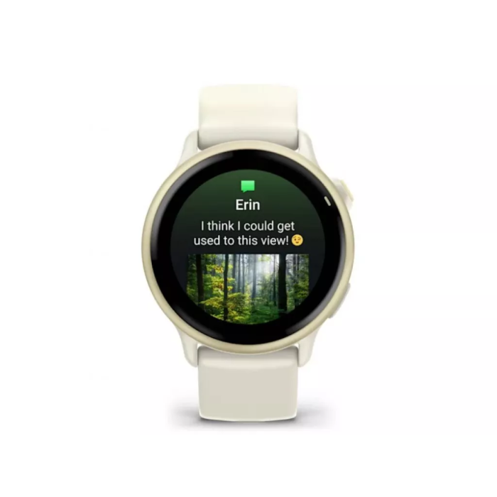 Смарт-часы Garmin Vivoactive 6 Lunar Gold with Bone Band (010-02985-01/41)