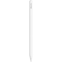 Apple Pencil Pro (MX2D3)
