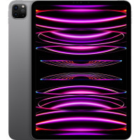 Apple iPad Pro 11 2022 Wi-Fi 1TB Space Gray (MNXK3)