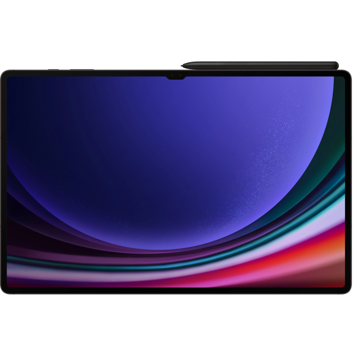 Планшет Samsung Galaxy Tab S9 Ultra 12/256GB Wi-Fi Graphite (SM-X910NZAA)