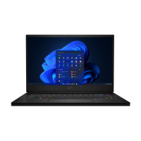 MSI GS66 Stealth 11UH (GS6611UH-021US)
