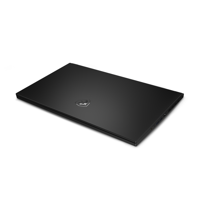 MSI GS66 Stealth 11UH (GS6611UH-021US)