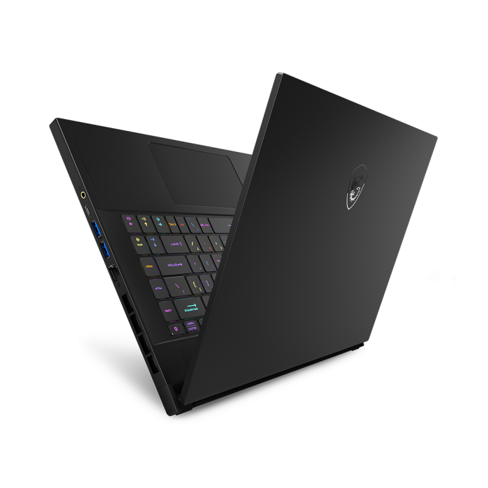MSI GS66 Stealth 11UH (GS6611UH-021US)
