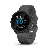 Garmin Forerunner 245 Slate Gray (010-02120-00)