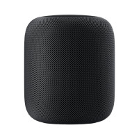Apple HomePod Space Gray (MQHW2)