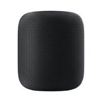 Apple HomePod Space Gray (MQHW2)