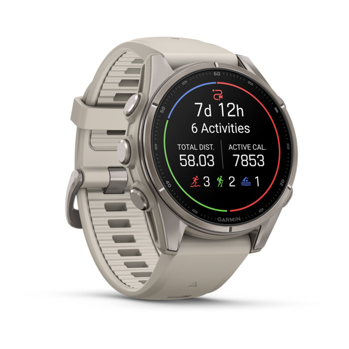 Смарт-часы Garmin Fenix 9 43mm Titanium with Fog Gray Silicone Band (010-04761-00)