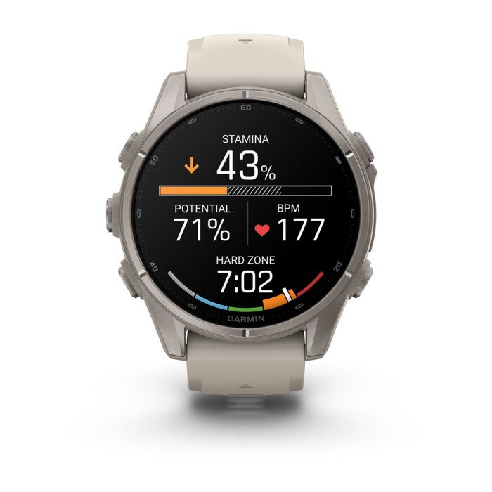 Смарт-часы Garmin Fenix 9 43mm Titanium with Fog Gray Silicone Band (010-04761-00)