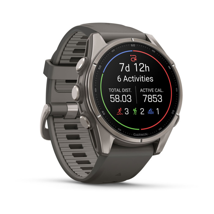 Смарт-часы Garmin Fenix 9 43mm Titanium with Pebble Gray Silicone Band (010-04761-10)