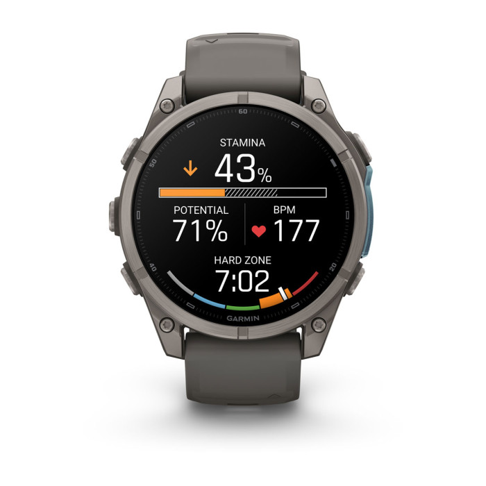 Смарт-часы Garmin Fenix 9 47mm Titanium with Pebble Gray Silicone Band (010-04762-00)