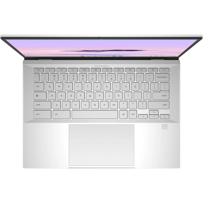 Хромбук ASUS ExpertBook CX54 Fog Silver (CX5403CMA-U516256)