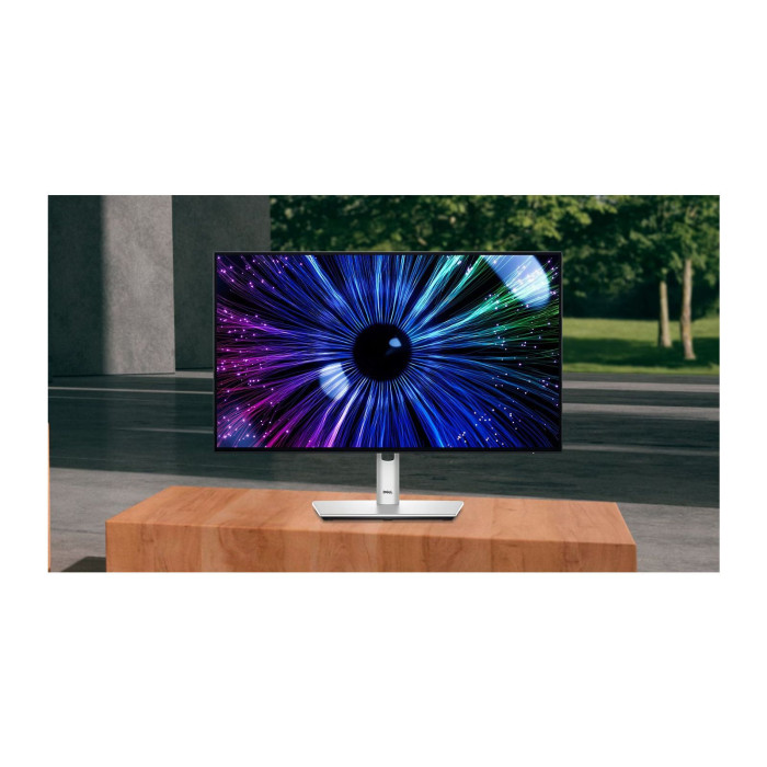 Монітор Dell U2424HE (210-BKJF)