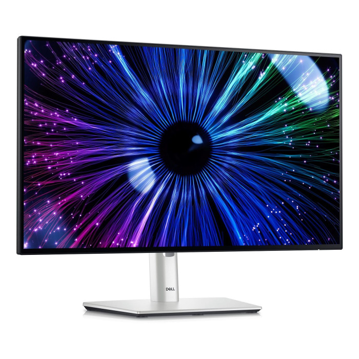 Монітор Dell U2424HE (210-BKJF)