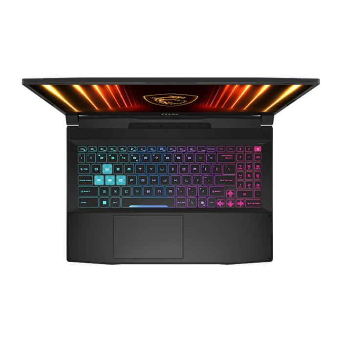 Ноутбук MSI Katana 15 HX B14WGK-293US (KATANA15HXB14293) CUSTOM: 64GB RAM; 1TB SSD; Windows 11 Pro