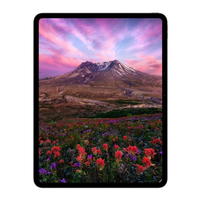 Планшет Apple iPad Pro 11 2025 Wi-Fi + Cellular 1TB Space Black (ME2U4)